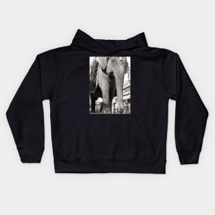 Vintage Photography Giant Indian Elephant Kids Hoodie